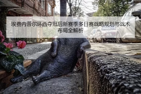 埃费内普尔环西夺冠后新赛季多日赛战略规划与战术布局全解析